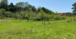 image of the tree nursery part of the Devon Live Labs 2 project